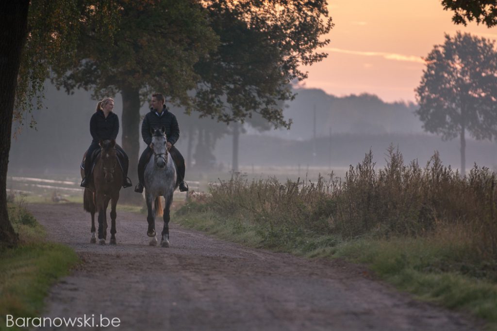 Koppel photoshoot met paarden - ochtendwandeling