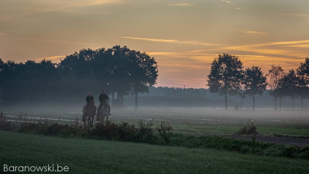 Koppel photoshoot met paarden - wandeling door de vroege ochtendmist