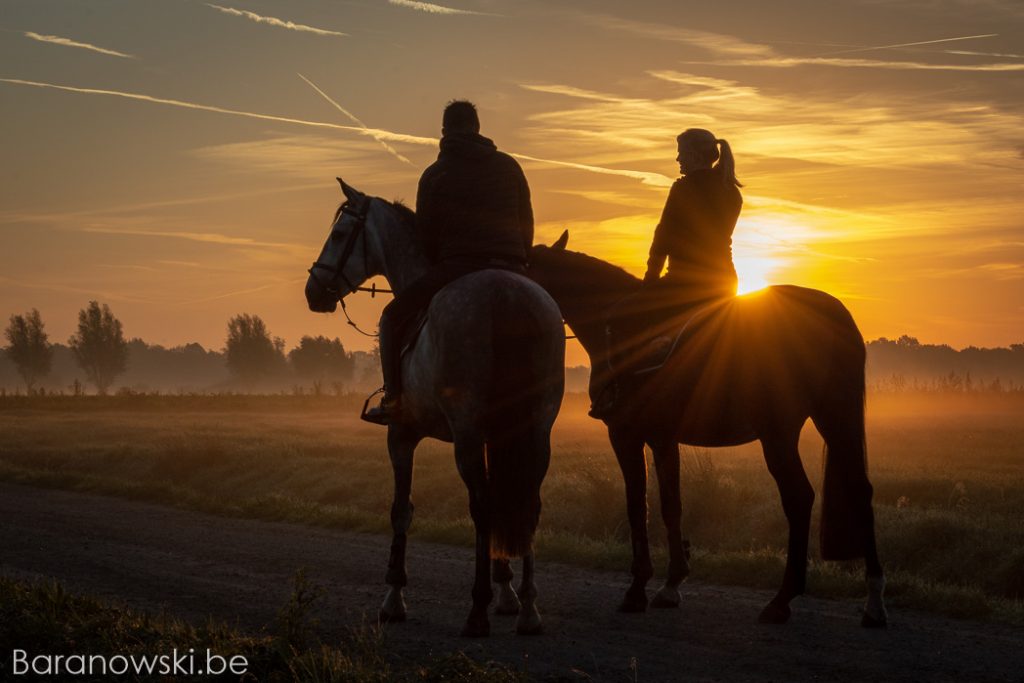 Koppel photoshoot met paarden - zonnester