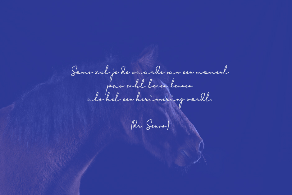 Wat dan ook Niet verwacht schouder Als het een herinnering wordt – Horses & Memories