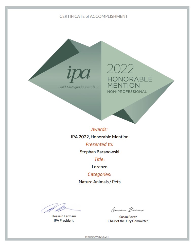 IPA 2022 Honourable Mention - Lorenzo
